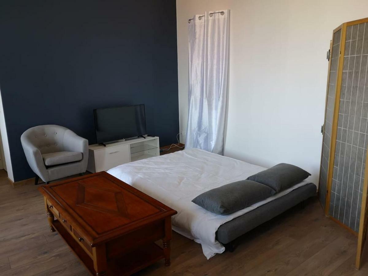 Appartement Spacieux Et Confortable La Roche-de-Glun المظهر الخارجي الصورة
